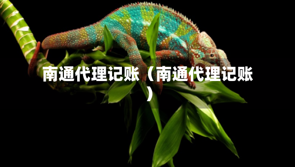 南通代理記賬(南通代理記賬) 南通代理記賬(南通代理記賬)