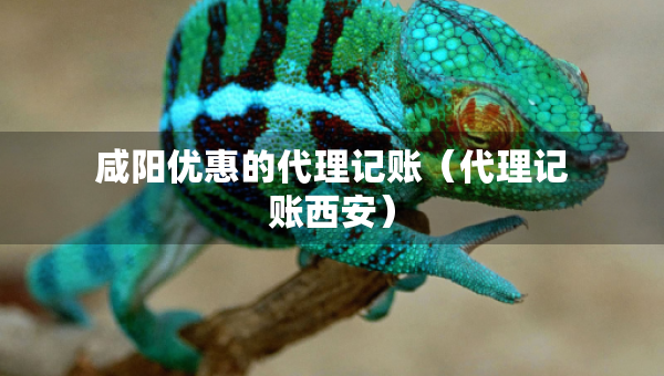 咸陽優(yōu)惠的代理記賬（代理記賬西安）