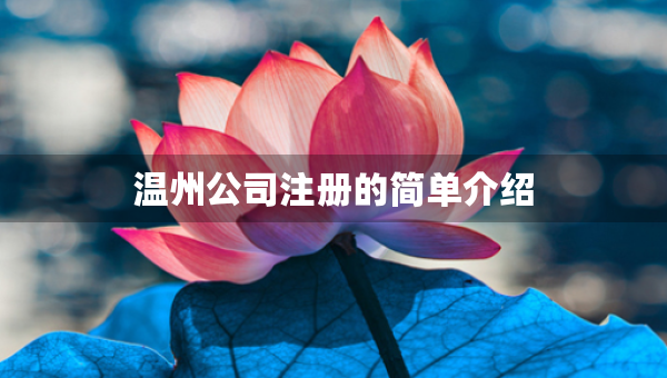 溫州公司注冊(cè)的簡(jiǎn)單介紹