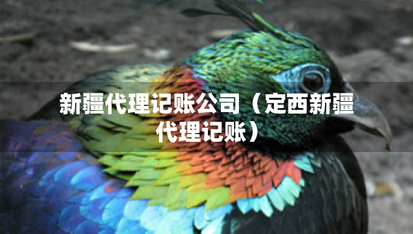 新疆代理記賬公司（定西新疆代理記賬）