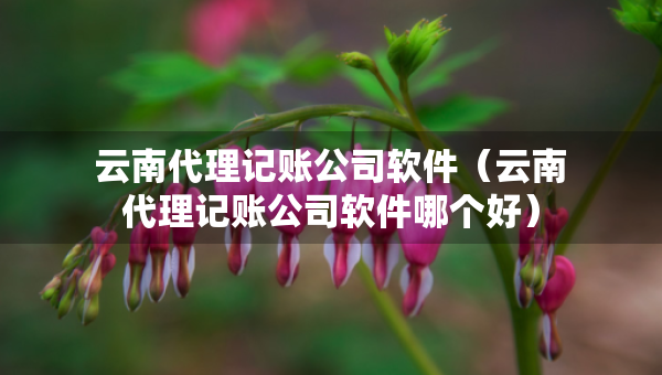 云南代理記賬公司軟件（云南代理記賬公司軟件哪個(gè)好）