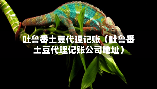 吐魯番土豆代理記賬(吐魯番土豆代理記賬公司地址) 吐魯番土豆代理記賬(吐魯番土豆代理記賬公司地址)