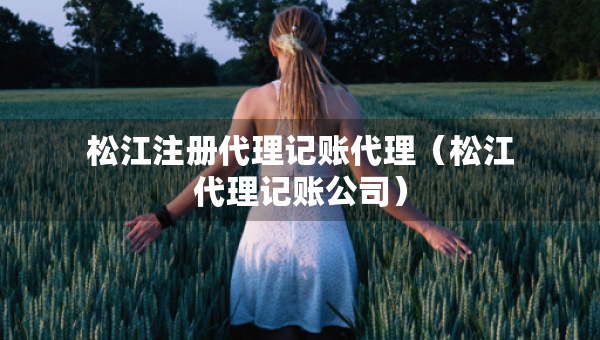 松江注冊代理記賬代理(松江代理記賬公司) 松江注冊代理記賬代理(松江代理記賬公司)