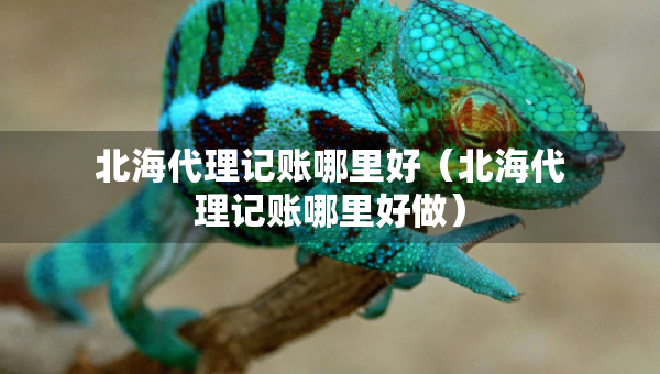 北海代理記賬哪里好(北海代理記賬哪里好做) 北海代理記賬哪里好(北海代理記賬哪里好做)