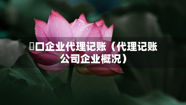硚口企業(yè)代理記賬(代理記賬公司企業(yè)概況) 硚口企業(yè)代理記賬(代理記賬公司企業(yè)概況)