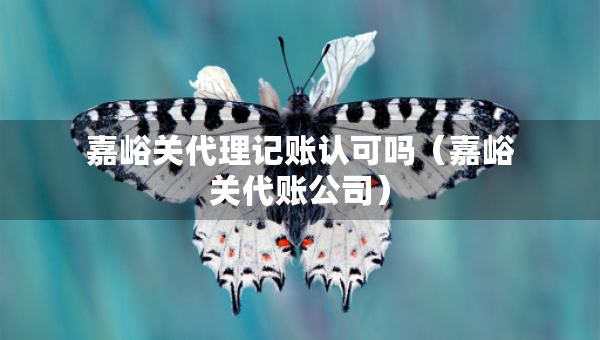 嘉峪關(guān)代理記賬認(rèn)可嗎（嘉峪關(guān)代賬公司）