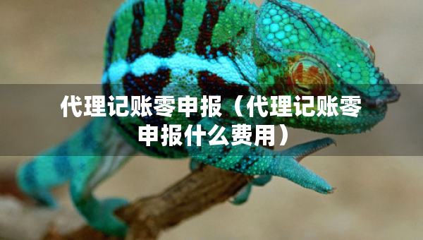 代理記賬零申報(bào)（代理記賬零申報(bào)什么費(fèi)用）