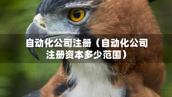 自動化公司注冊(自動化公司注冊資本多少范圍) 自動化公司注冊(自動化公司注冊資本多少范圍)
