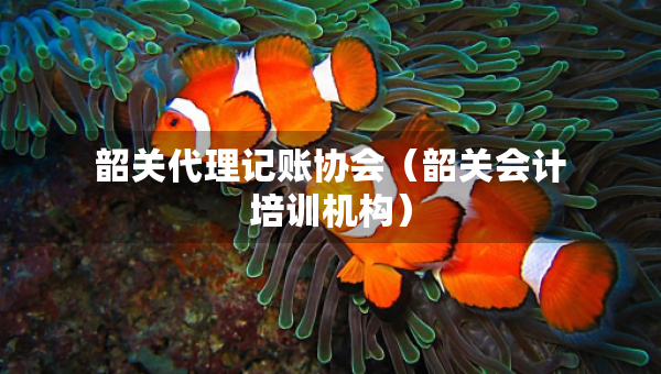 韶關(guān)代理記賬協(xié)會(huì)(韶關(guān)會(huì)計(jì)培訓(xùn)機(jī)構(gòu)) 韶關(guān)代理記賬協(xié)會(huì)(韶關(guān)會(huì)計(jì)培訓(xùn)機(jī)構(gòu))