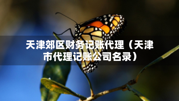 天津郊區(qū)財務記賬代理（天津市代理記賬公司名錄）