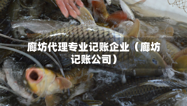 廊坊代理專業(yè)記賬企業(yè)(廊坊記賬公司) 廊坊代理專業(yè)記賬企業(yè)(廊坊記賬公司)