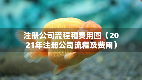 注冊公司流程和費用圖(2021年注冊公司流程及費用) 注冊公司流程和費用圖(2021年注冊公司流程及費用)
