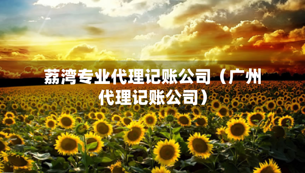 荔灣專(zhuān)業(yè)代理記賬公司（廣州代理記賬公司）