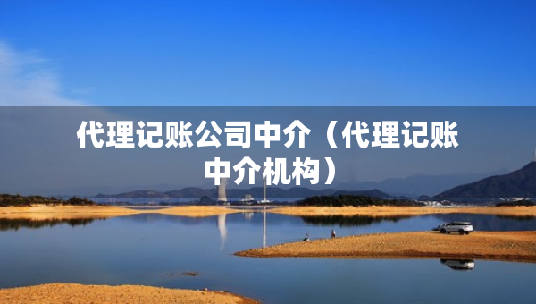 代理記賬公司中介（代理記賬中介機構(gòu)）