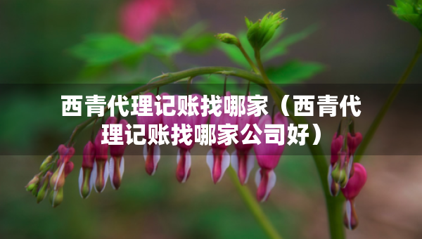 西青代理記賬找哪家（西青代理記賬找哪家公司好）
