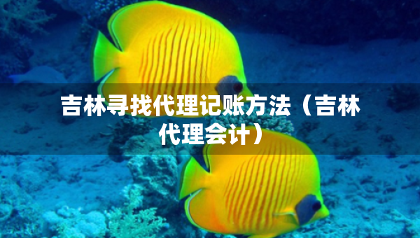 吉林尋找代理記賬方法(吉林代理會(huì)計(jì)) 吉林尋找代理記賬方法(吉林代理會(huì)計(jì))