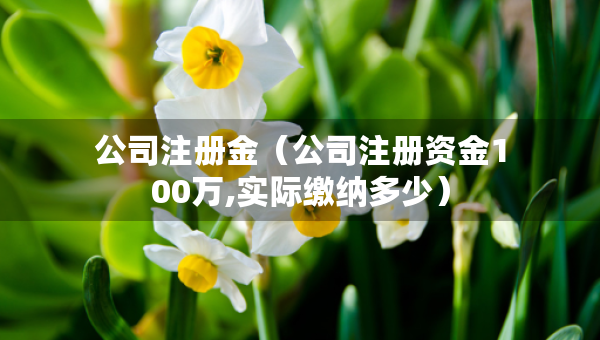 公司注冊金(公司注冊資金100萬,實際繳納多少) 公司注冊金(公司注冊資金100萬,實際繳納多少)