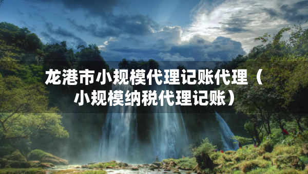 龍港市小規(guī)模代理記賬代理（小規(guī)模納稅代理記賬）