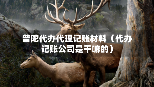 普陀代辦代理記賬材料(代辦記賬公司是干嘛的) 普陀代辦代理記賬材料(代辦記賬公司是干嘛的)