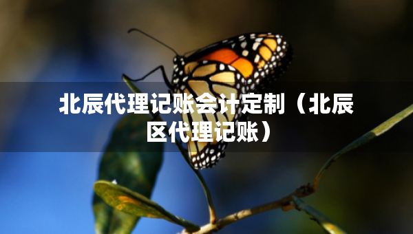 北辰代理記賬會計定制（北辰區(qū)代理記賬）