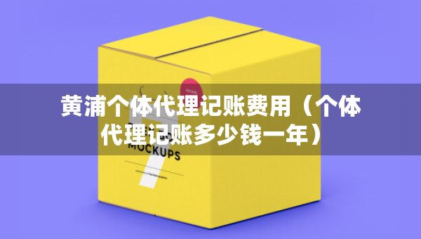 黃浦個體代理記賬費用（個體代理記賬多少錢一年）