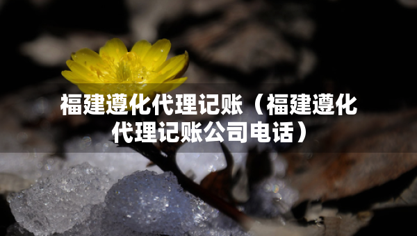 福建遵化代理記賬(福建遵化代理記賬公司電話) 福建遵化代理記賬(福建遵化代理記賬公司電話)