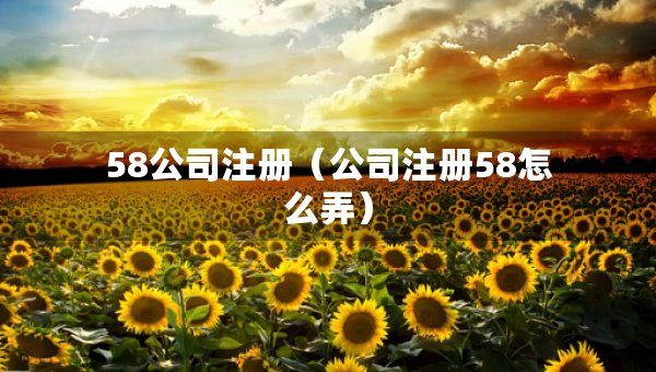 58公司注冊(公司注冊58怎么弄) 58公司注冊(公司注冊58怎么弄)