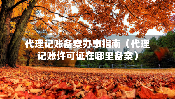 代理記賬備案辦事指南（代理記賬許可證在哪里備案）