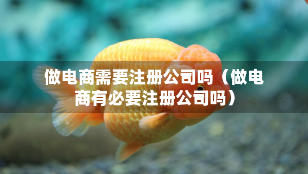 做電商需要注冊公司嗎(做電商有必要注冊公司嗎) 做電商需要注冊公司嗎(做電商有必要注冊公司嗎)