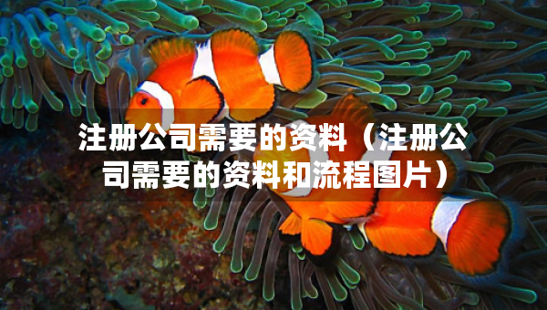 注冊(cè)公司需要的資料(注冊(cè)公司需要的資料和流程圖片) 注冊(cè)公司需要的資料(注冊(cè)公司需要的資料和流程圖片)