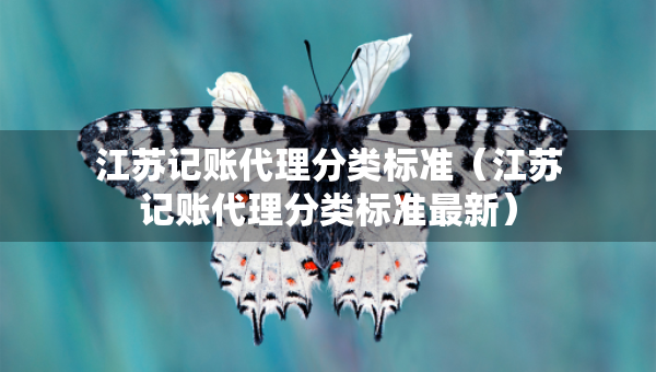江蘇記賬代理分類標(biāo)準(zhǔn)（江蘇記賬代理分類標(biāo)準(zhǔn)最新）