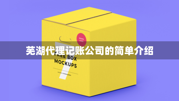 蕪湖代理記賬公司的簡單介紹