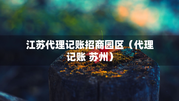 江蘇代理記賬招商園區(qū)（代理記賬 蘇州）