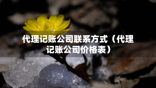 代理記賬公司聯(lián)系方式（代理記賬公司價(jià)格表）