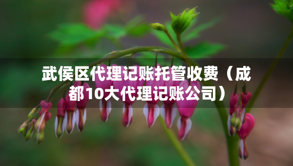 武侯區(qū)代理記賬托管收費(fèi)(成都10大代理記賬公司) 武侯區(qū)代理記賬托管收費(fèi)(成都10大代理記賬公司)