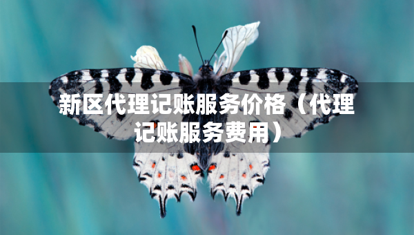 新區(qū)代理記賬服務(wù)價(jià)格（代理記賬服務(wù)費(fèi)用）