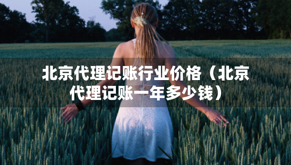 北京代理記賬行業(yè)價格（北京代理記賬一年多少錢）
