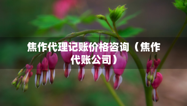 焦作代理記賬價格咨詢（焦作代賬公司）