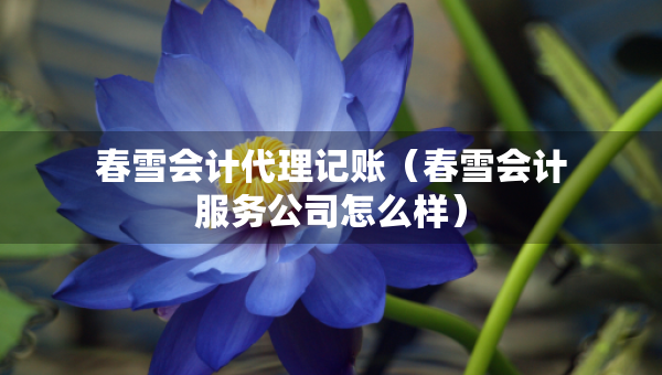 春雪會(huì)計(jì)代理記賬(春雪會(huì)計(jì)服務(wù)公司怎么樣) 春雪會(huì)計(jì)代理記賬(春雪會(huì)計(jì)服務(wù)公司怎么樣)