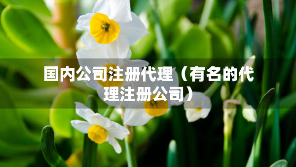 國內(nèi)公司注冊代理（有名的代理注冊公司）
