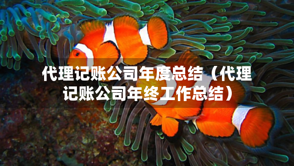 代理記賬公司年度總結(jié)(代理記賬公司年終工作總結(jié)) 代理記賬公司年度總結(jié)(代理記賬公司年終工作總結(jié))