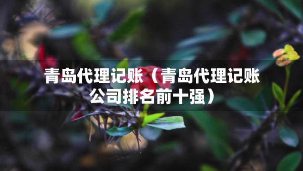青島代理記賬（青島代理記賬公司排名前十強(qiáng)）
