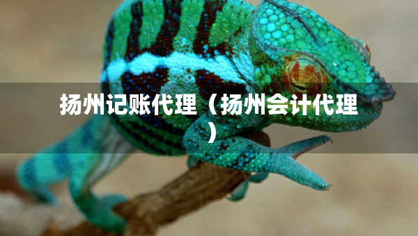 揚(yáng)州記賬代理（揚(yáng)州會計(jì)代理）