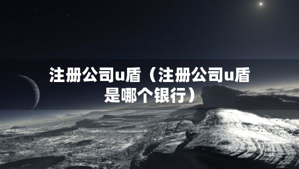 注冊(cè)公司u盾（注冊(cè)公司u盾是哪個(gè)銀行）