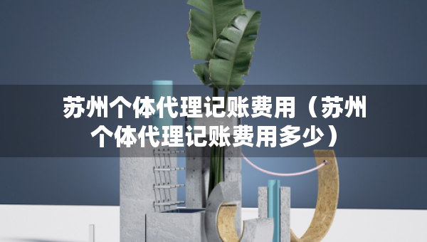 蘇州個(gè)體代理記賬費(fèi)用（蘇州個(gè)體代理記賬費(fèi)用多少）