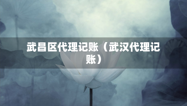 武昌區(qū)代理記賬（武漢代理記賬）