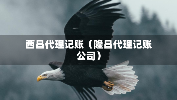 西昌代理記賬（隆昌代理記賬公司）