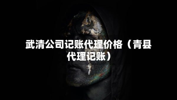 武清公司記賬代理價格（青縣代理記賬）