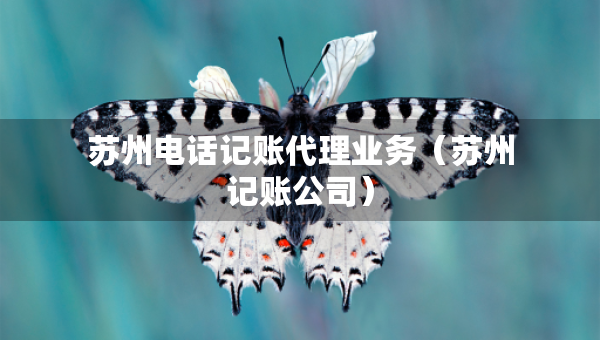 蘇州電話記賬代理業(yè)務(wù)(蘇州記賬公司) 蘇州電話記賬代理業(yè)務(wù)(蘇州記賬公司)