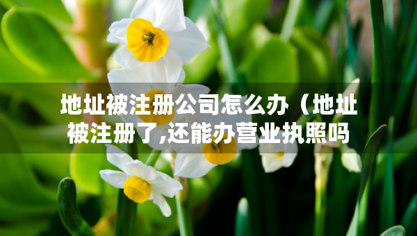 地址被注冊公司怎么辦（地址被注冊了,還能辦營業(yè)執(zhí)照嗎）